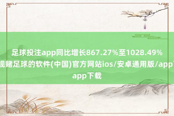 足球投注app同比增长867.27%至1028.49%-正规赌足球的软件(中国)官方网站ios/安卓通用版/app下载