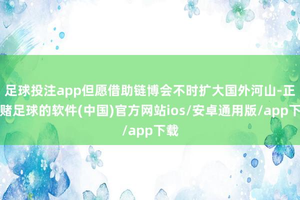 足球投注app但愿借助链博会不时扩大国外河山-正规赌足球的软件(中国)官方网站ios/安卓通用版/app下载