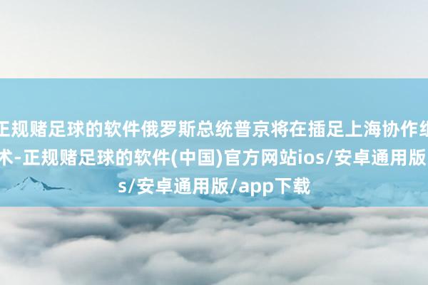 正规赌足球的软件俄罗斯总统普京将在插足上海协作组织峰会技术-正规赌足球的软件(中国)官方网站ios/安卓通用版/app下载