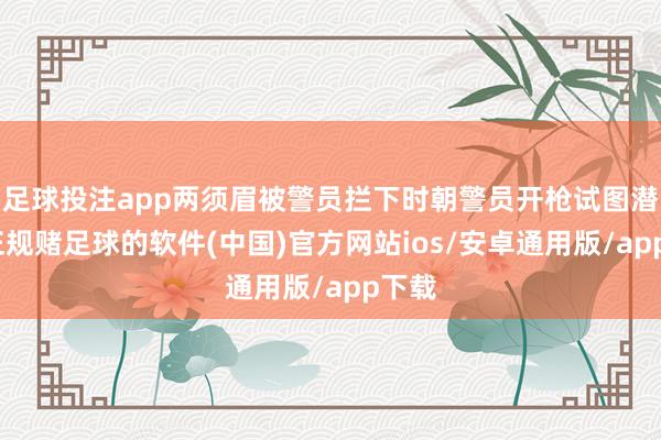 足球投注app两须眉被警员拦下时朝警员开枪试图潜逃-正规赌足球的软件(中国)官方网站ios/安卓通用版/app下载