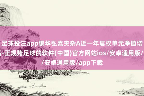 足球投注app鹏华弘嘉夹杂A近一年复权单元净值增长率最高-正规赌足球的软件(中国)官方网站ios/安卓通用版/app下载