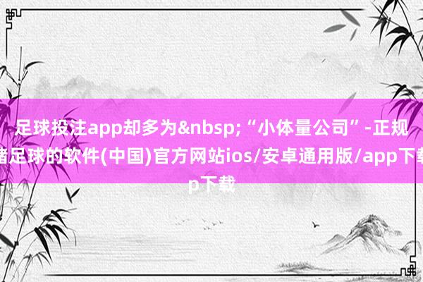 足球投注app却多为&nbsp;“小体量公司”-正规赌足球的软件(中国)官方网站ios/安卓通用版/app下载