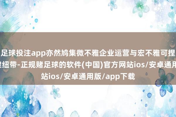 足球投注app亦然鸠集微不雅企业运营与宏不雅可捏续发展的关键纽带-正规赌足球的软件(中国)官方网站ios/安卓通用版/app下载