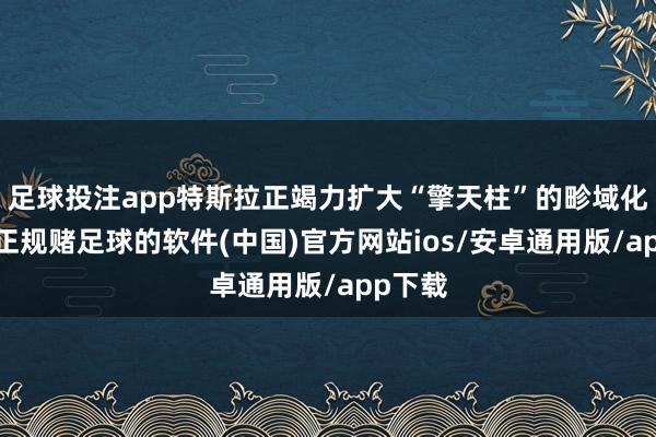 足球投注app特斯拉正竭力扩大“擎天柱”的畛域化分娩-正规赌足球的软件(中国)官方网站ios/安卓通用版/app下载
