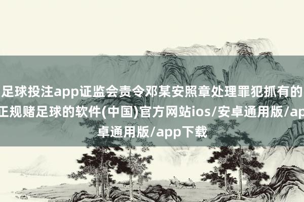 足球投注app证监会责令邓某安照章处理罪犯抓有的股票-正规赌足球的软件(中国)官方网站ios/安卓通用版/app下载