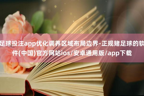 足球投注app优化调养区域布局边界-正规赌足球的软件(中国)官方网站ios/安卓通用版/app下载