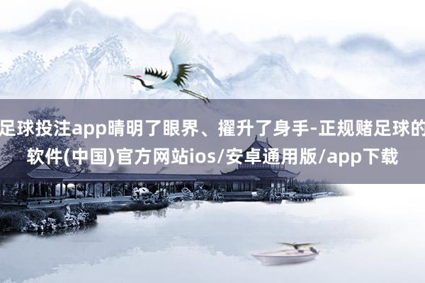 足球投注app晴明了眼界、擢升了身手-正规赌足球的软件(中国)官方网站ios/安卓通用版/app下载