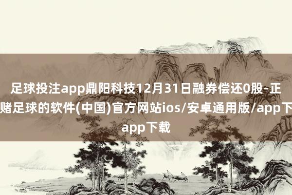 足球投注app鼎阳科技12月31日融券偿还0股-正规赌足球的软件(中国)官方网站ios/安卓通用版/app下载